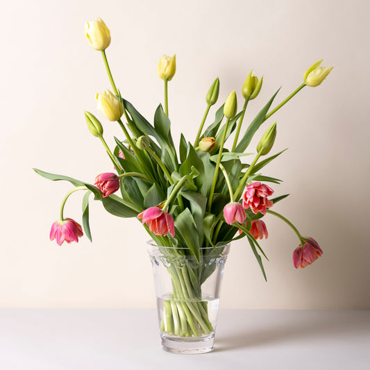 Kobenhavner Glass Clear Vase