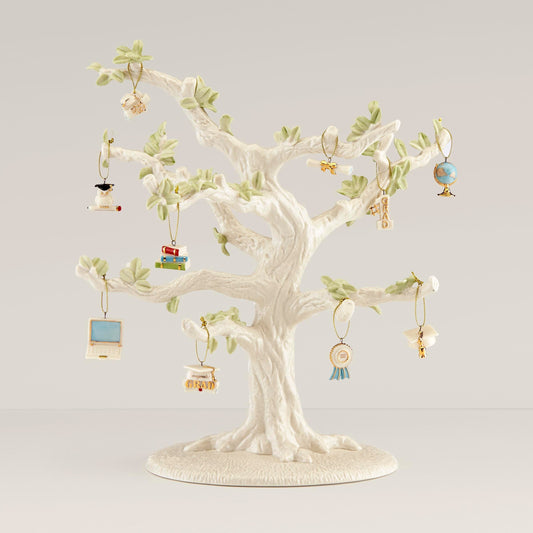 Graduation 10-Piece Mini Ornament Set