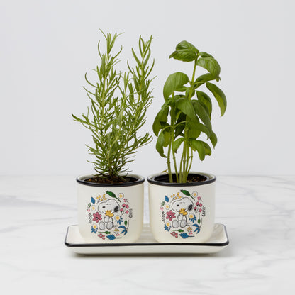 Chef Snoopy Herb Pots, Set Of 3
