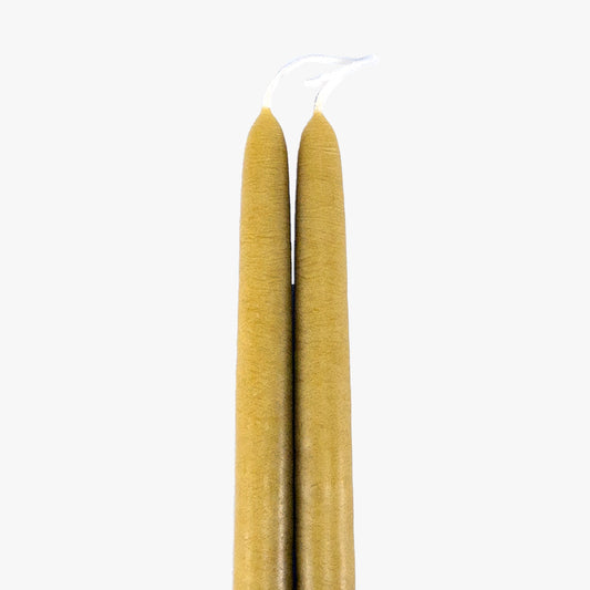 Dripless Chartreuse 12" Taper Candles, Set of 2