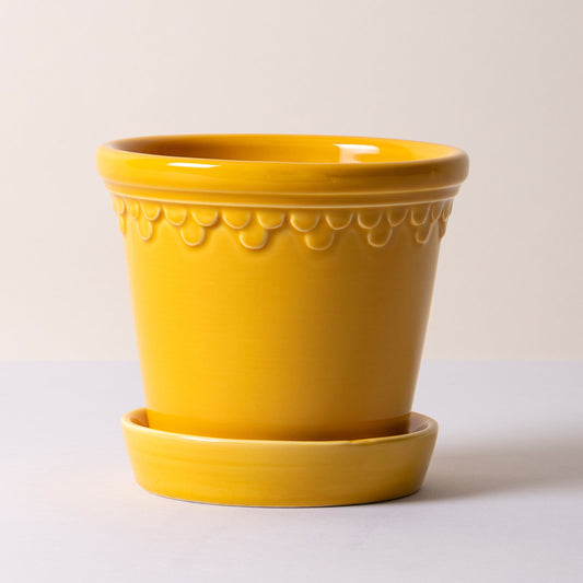 Kobenhavner Glazed Amber Yellow 16cm Pot with Saucer