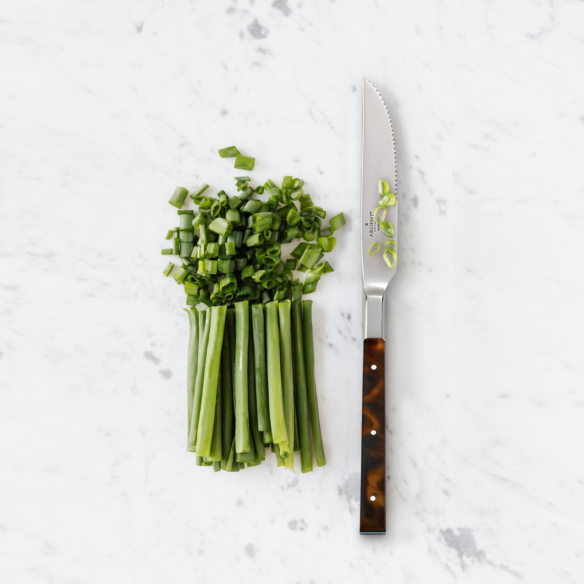 Tortoise Steak Knives, Set of 4